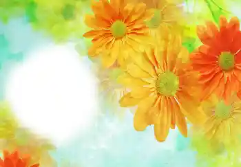 Εφέ φωτογραφιών στην κατηγορία Κορνίζες για φωτογραφίες γυναικών № 91723 Εφέ φωτογραφιών στην κατηγορία Κορνίζες για φωτογραφίες γυναικών № 91723