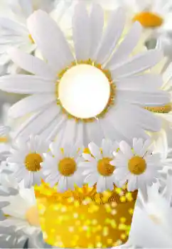 Εφέ φωτογραφιών στην κατηγορία Κορνίζες για φωτογραφίες γυναικών № 91798