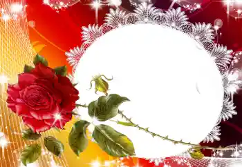 Εφέ φωτογραφιών στην κατηγορία Κορνίζες για φωτογραφίες γυναικών № 93130