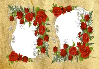 Εφέ φωτογραφιών στην κατηγορία Κορνίζες για φωτογραφίες γυναικών № 94576