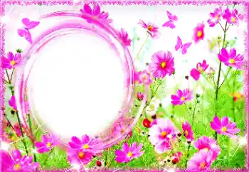 Εφέ φωτογραφιών στην κατηγορία Κορνίζες για φωτογραφίες γυναικών № 94713