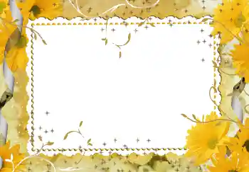 Εφέ φωτογραφιών στην κατηγορία Κορνίζες για φωτογραφίες γυναικών № 94746