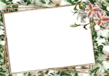 Εφέ φωτογραφιών στην κατηγορία Κορνίζες για φωτογραφίες γυναικών № 94751