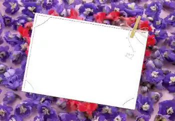 Εφέ φωτογραφιών στην κατηγορία Κορνίζες για φωτογραφίες γυναικών № 9481