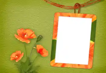 Εφέ φωτογραφιών στην κατηγορία Κορνίζες για φωτογραφίες γυναικών № 94833