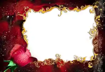 Εφέ φωτογραφιών στην κατηγορία Κορνίζες για φωτογραφίες γυναικών № 94837