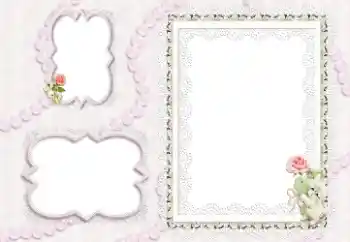 Εφέ φωτογραφιών στην κατηγορία Κορνίζες για φωτογραφίες γυναικών № 9514