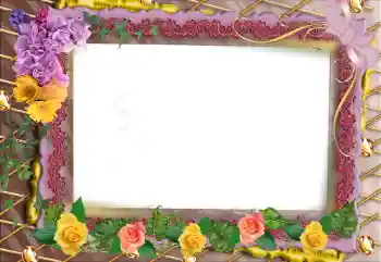 Εφέ φωτογραφιών στην κατηγορία Κορνίζες για φωτογραφίες γυναικών № 95902