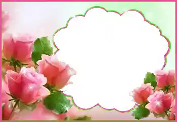 Εφέ φωτογραφιών στην κατηγορία Κορνίζες για φωτογραφίες γυναικών № 96337