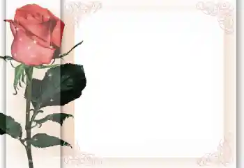 Εφέ φωτογραφιών στην κατηγορία Κορνίζες για φωτογραφίες γυναικών № 96405