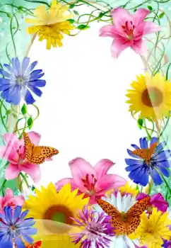 Εφέ φωτογραφιών στην κατηγορία Κορνίζες για φωτογραφίες γυναικών № 9688