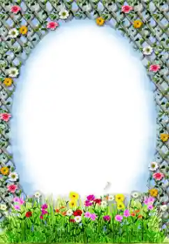 Εφέ φωτογραφιών στην κατηγορία Κορνίζες για φωτογραφίες γυναικών № 9691