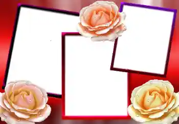 Εφέ φωτογραφιών στην κατηγορία Κορνίζες για φωτογραφίες γυναικών № 9712