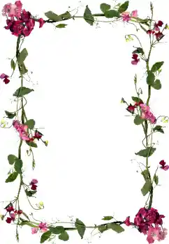 Εφέ φωτογραφιών στην κατηγορία Κορνίζες για φωτογραφίες γυναικών № 97451