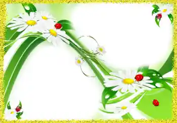 Εφέ φωτογραφιών στην κατηγορία Κορνίζες για φωτογραφίες γυναικών № 97688