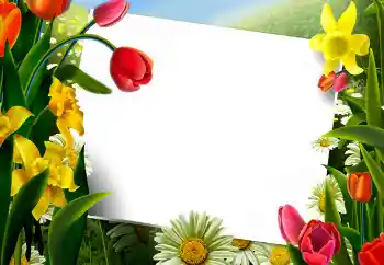 Εφέ φωτογραφιών στην κατηγορία Κορνίζες για φωτογραφίες γυναικών № 9867