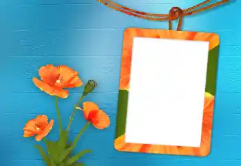 Εφέ φωτογραφιών στην κατηγορία Κορνίζες για φωτογραφίες γυναικών № 98705