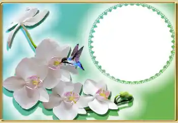 Εφέ φωτογραφιών στην κατηγορία Κορνίζες για φωτογραφίες γυναικών № 99814