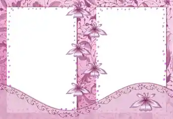 Εφέ φωτογραφιών στην κατηγορία Κορνίζες για φωτογραφίες γυναικών № 99881